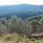 Lägenhet Saint Ribert *